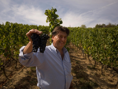 Discover the excellence of Domaine Jean Luc Colombo wines